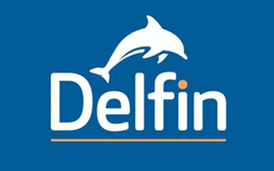 Delfin English School Dublin