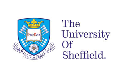 Study Group - The University of Sheffield International College